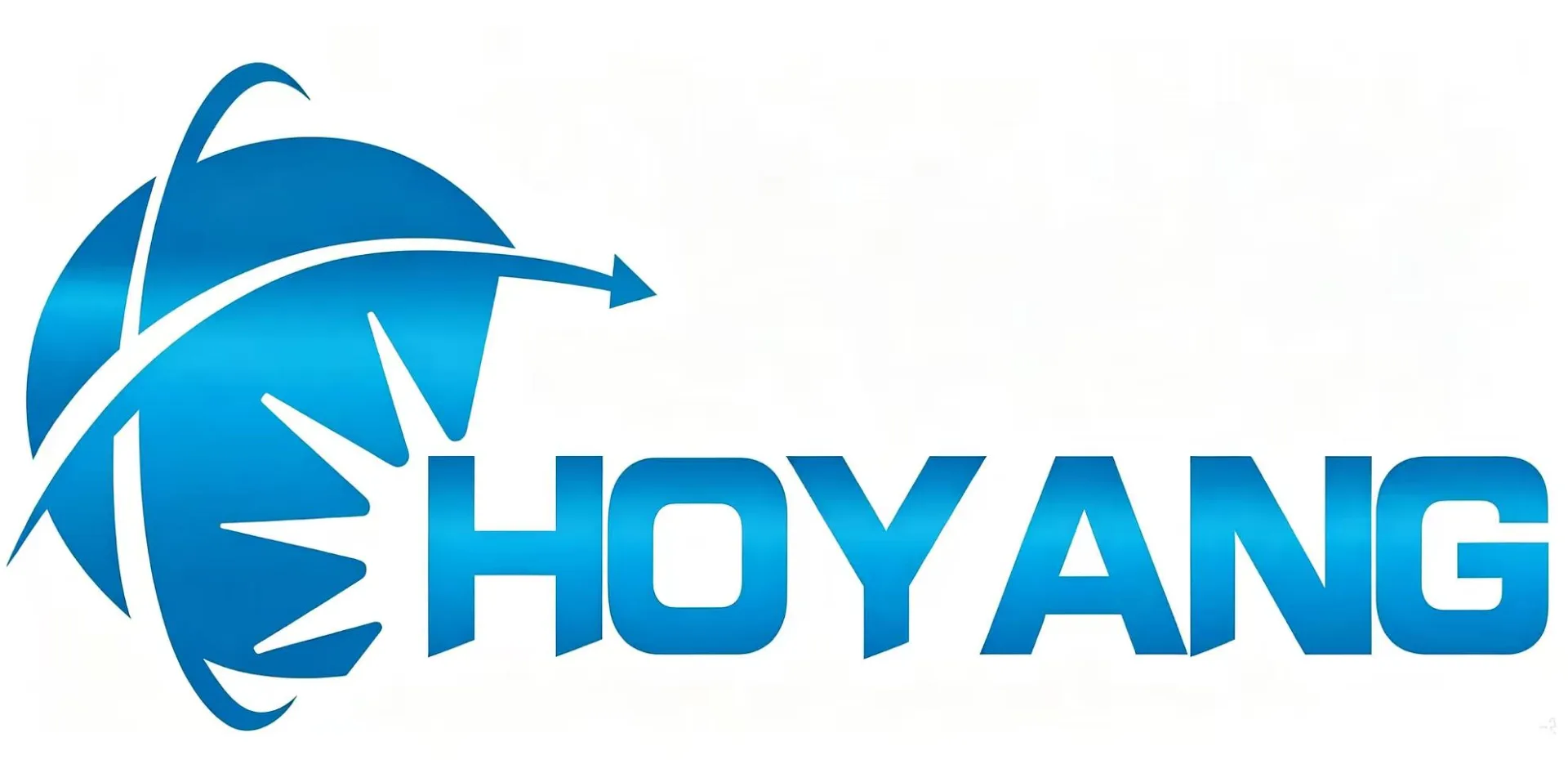 Hoyang Instrument Limited